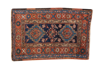 2.5x4.5 Antique Heriz Rug by Old New House® - main product image for Resin Society