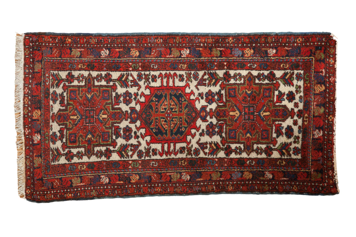2x4.5 Vintage Karaja Rug Runner by Old New House® - main product image for Resin Society