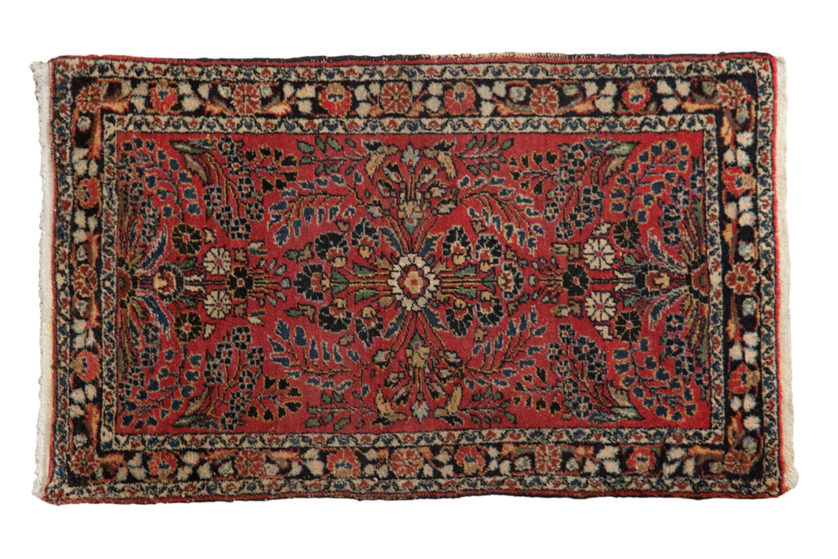 2.5x4.5 Vintage Dargezine Rug by Old New House® - main product image for Resin Society
