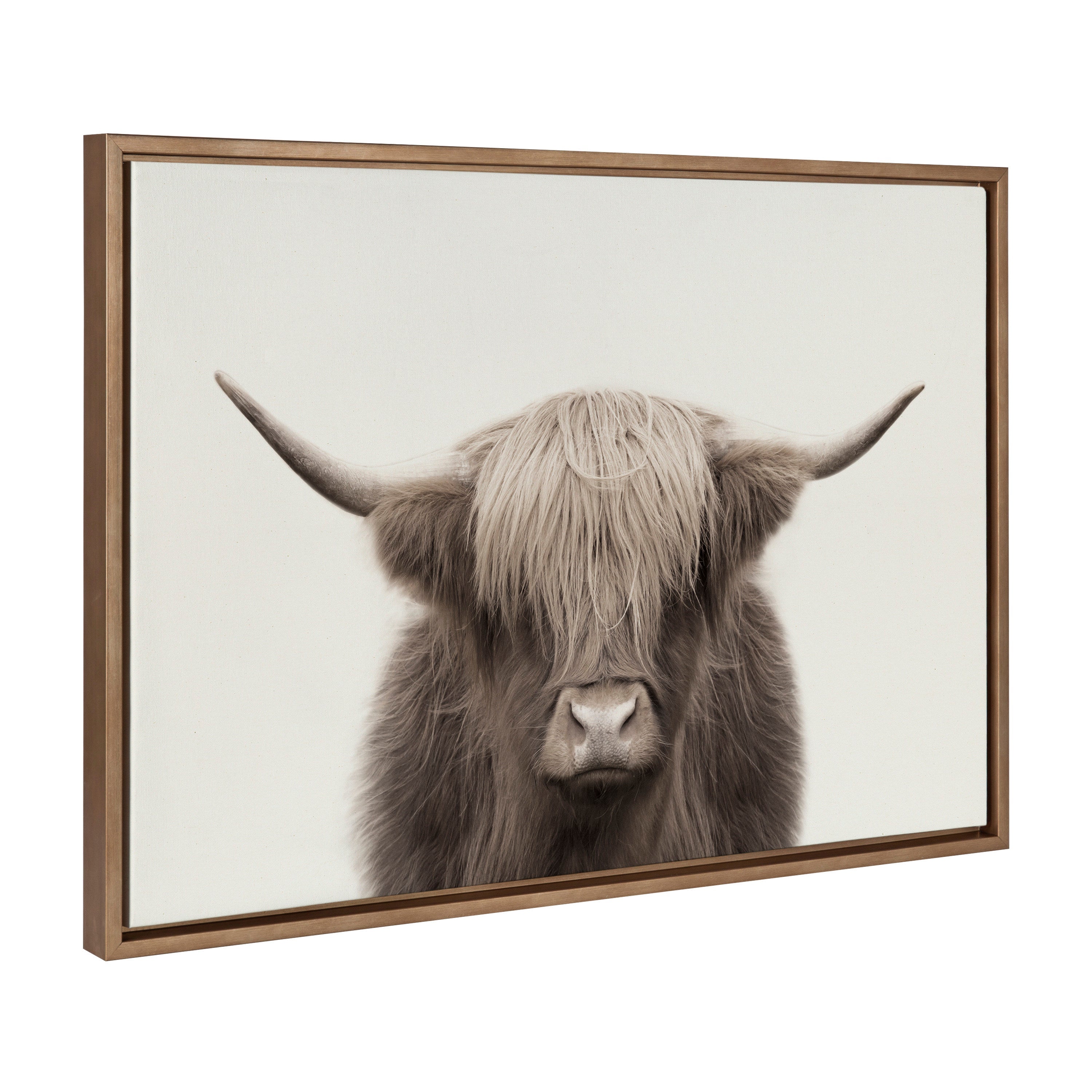 Sylvie Hey Dude Highland Cow Color Framed Canvas by The Creative Bunch by kateandlaurel - product image 18 for Resin Society