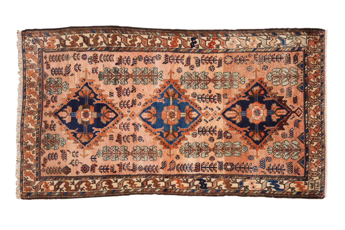 3.5x6 Vintage Fine Mehriban Rug by Old New House® - main product image for Resin Society