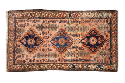 3.5x6 Vintage Fine Mehriban Rug by Old New House® - main product image for Resin Society