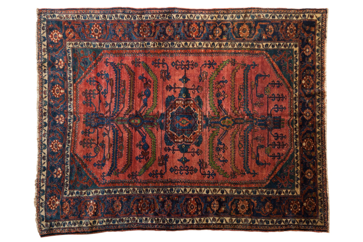 5.5x6.5 Vintage Fine Lilihan Carpet by Old New House® - main product image for Resin Society
