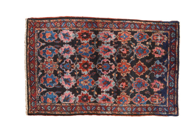 2.5x4.5 Vintage Bibikabad Rug by Old New House® - main product image for Resin Society
