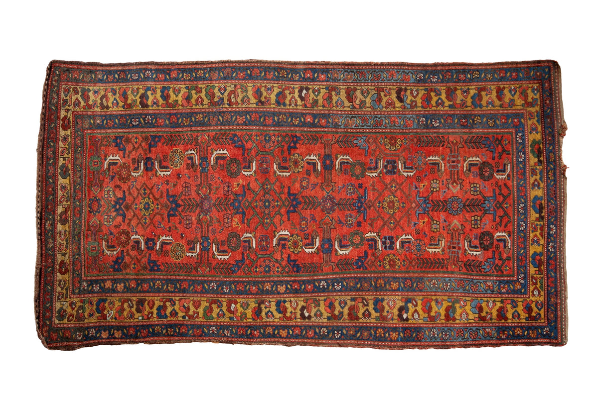 4x7.5 Antique Kurdish Bijar Rug by Old New House® - main product image for Resin Society