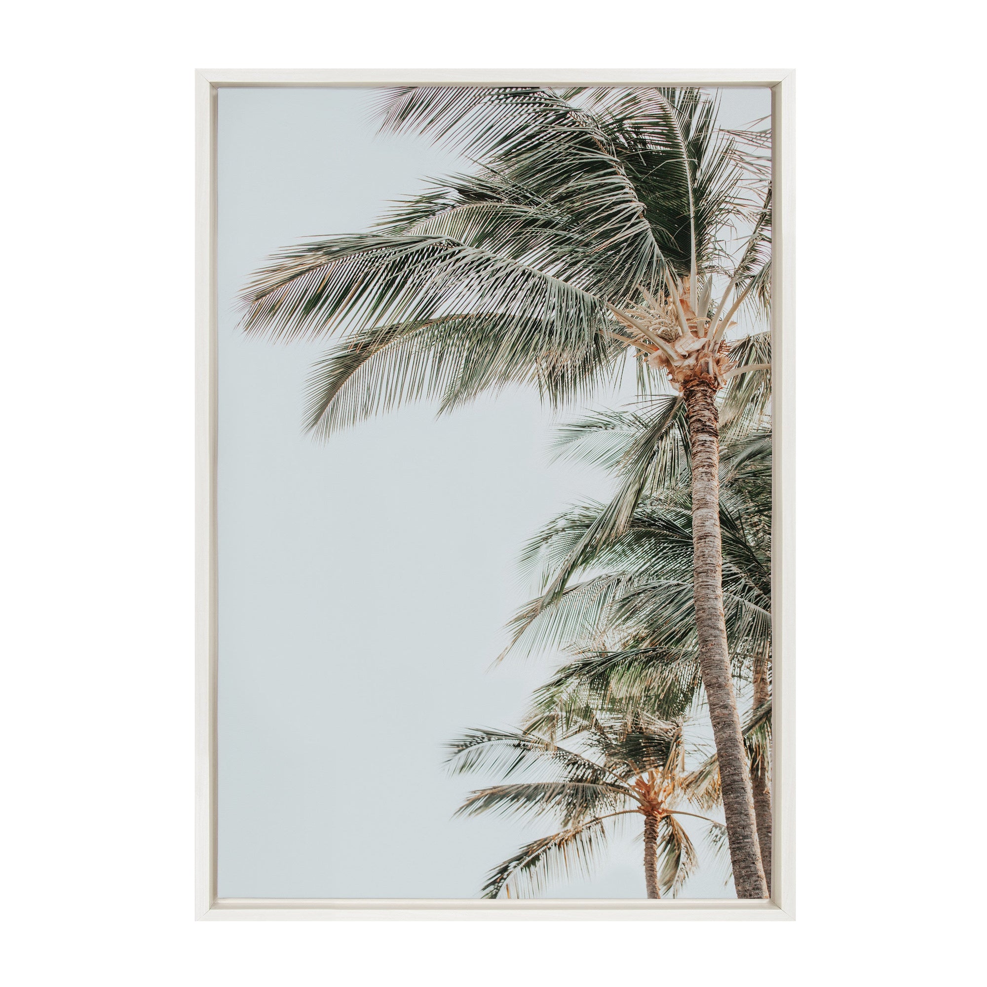 Sylvie Palm Trees Framed Canvas by Alicia Abla by kateandlaurel - main product image for Resin Society