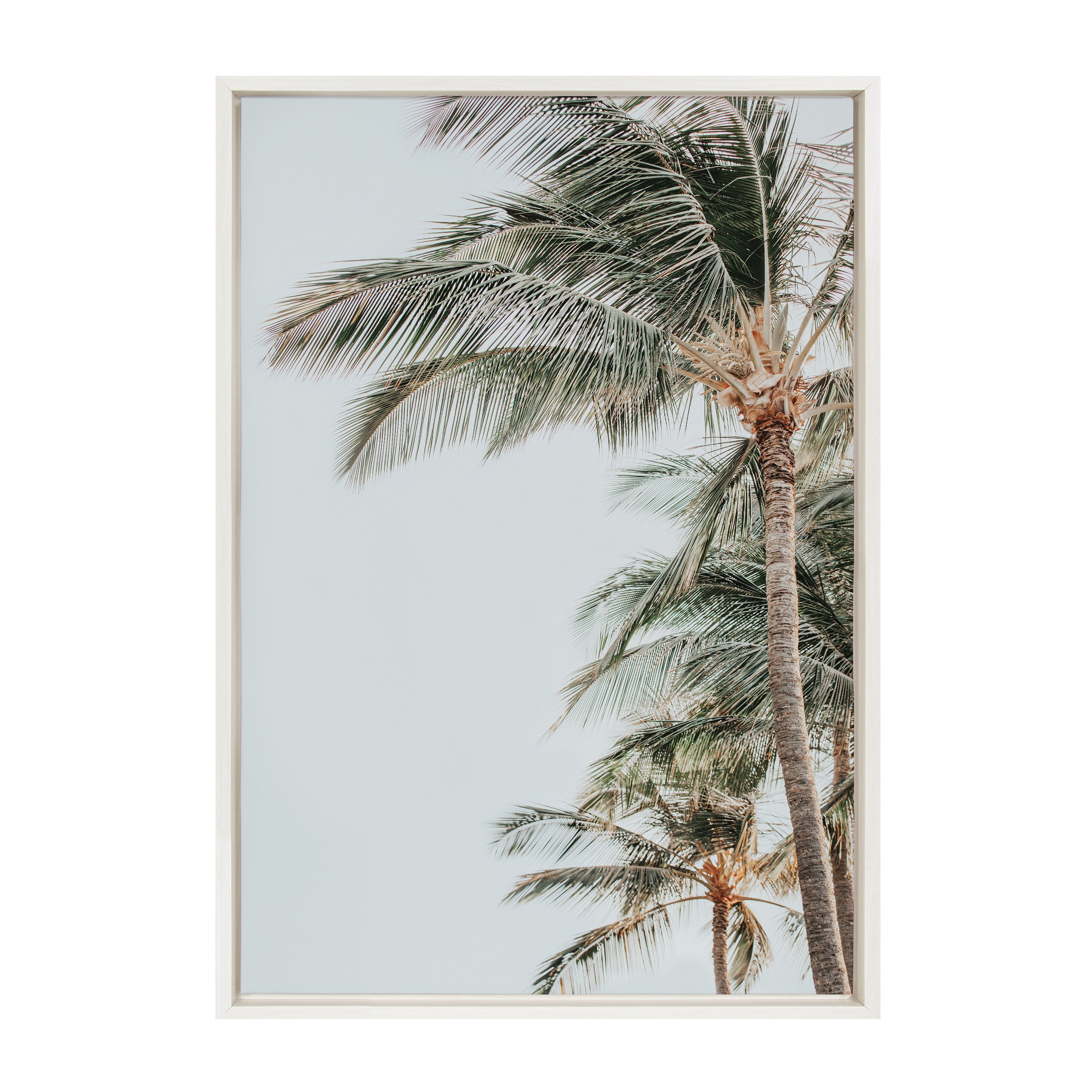 Sylvie Palm Trees Framed Canvas by Alicia Abla by kateandlaurel - main product image for Resin Society