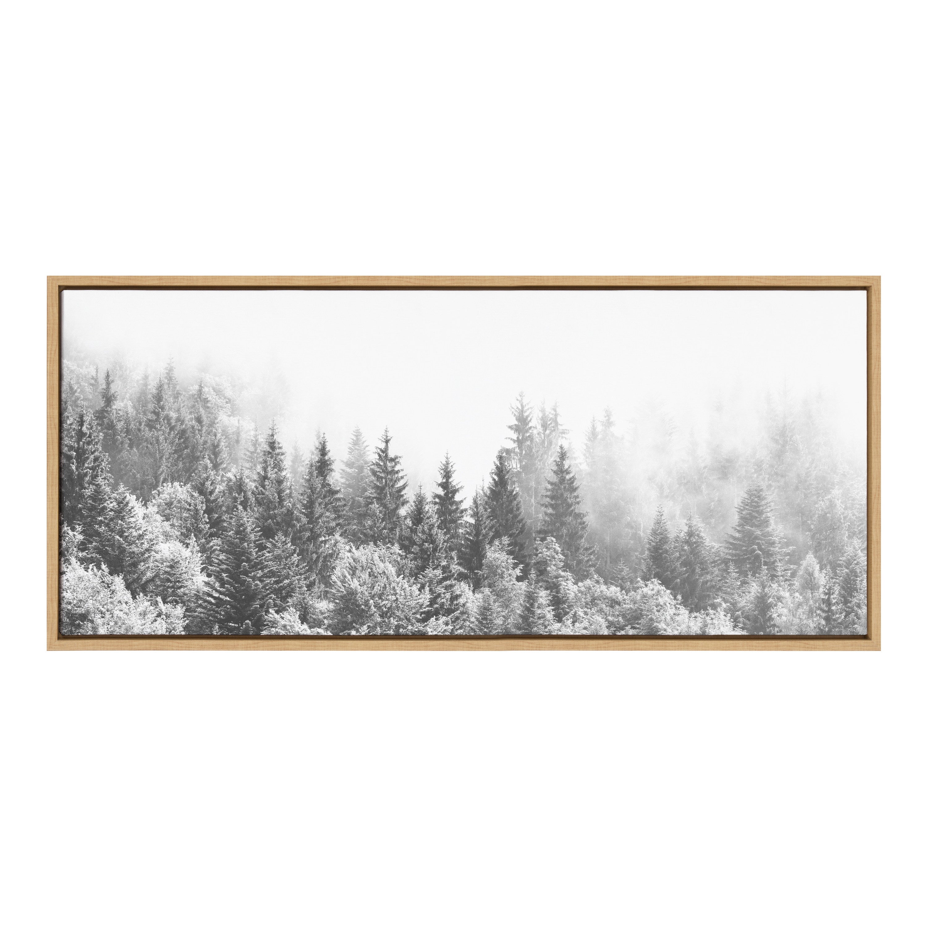 Sylvie Forest On A Foggy Day BW Framed Canvas by kateandlaurel - product image 8 for Resin Society