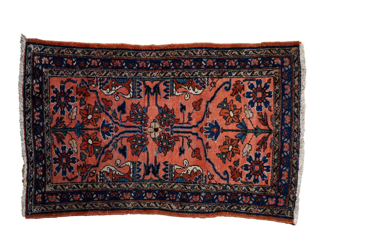 2.5x4 Vintage Lilihan Rug by Old New House® - main product image for Resin Society