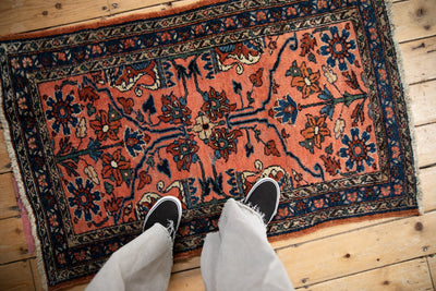 2.5x4 Vintage Lilihan Rug by Old New House® - product image 2 for Resin Society