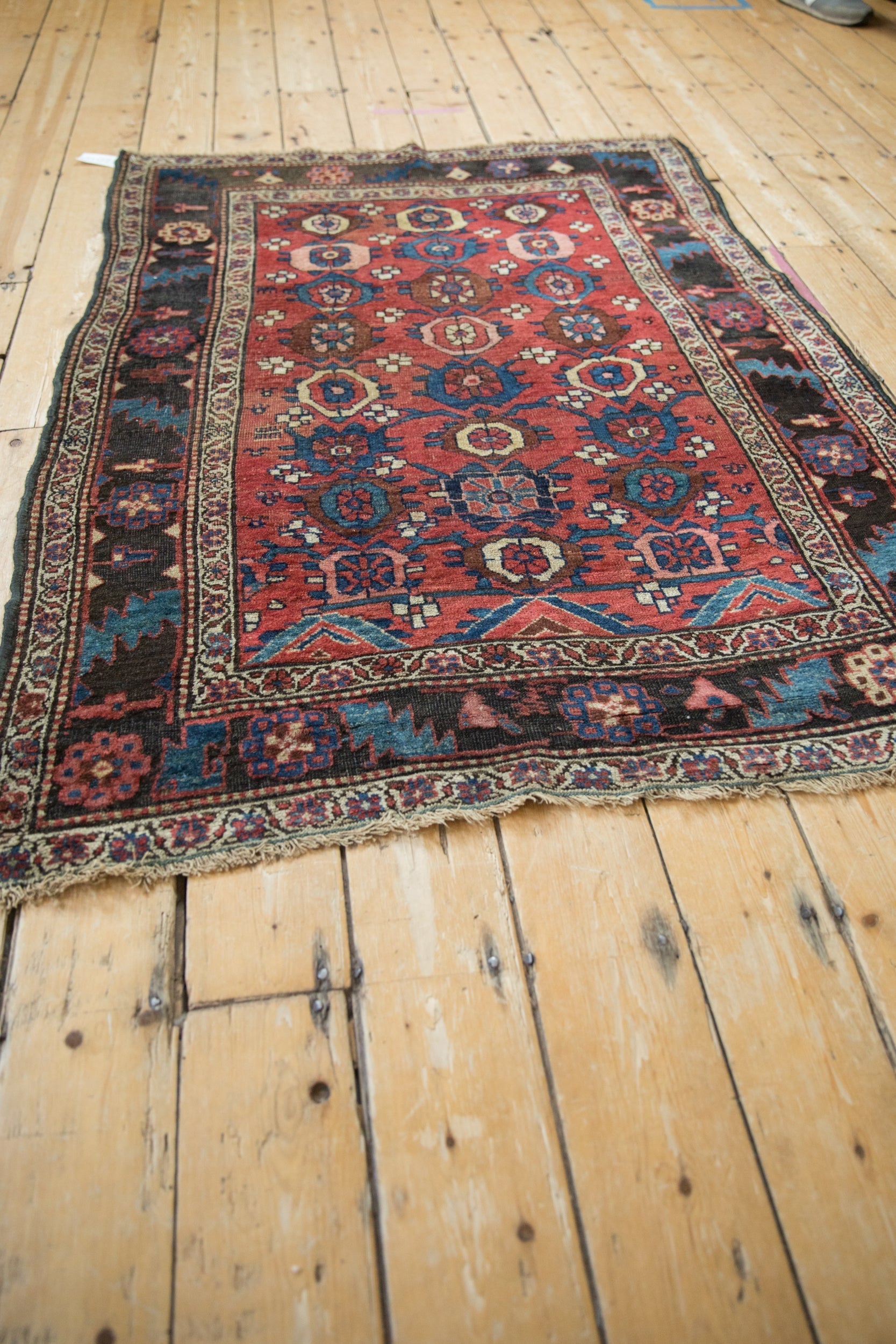 4x5.5 Antique Kurdish Bijar Rug by Old New House® - product image 7 for Resin Society