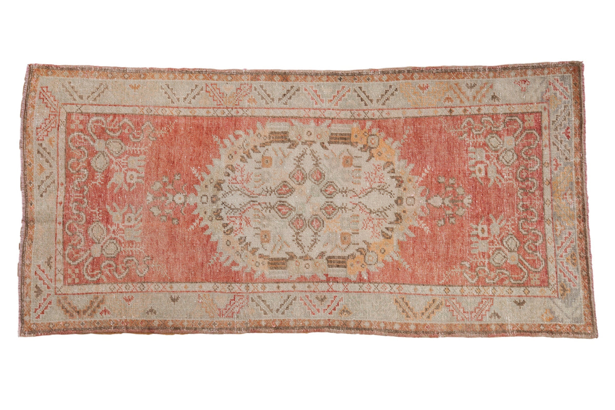 3x6 Vintage Distressed Oushak Rug Runner by Old New House® - main product image for Resin Society