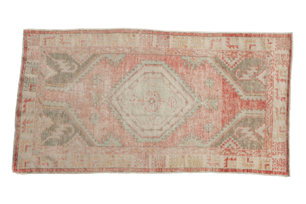 2.5x5 Vintage Distressed Oushak Rug Runner by Old New House® - main product image for Resin Society