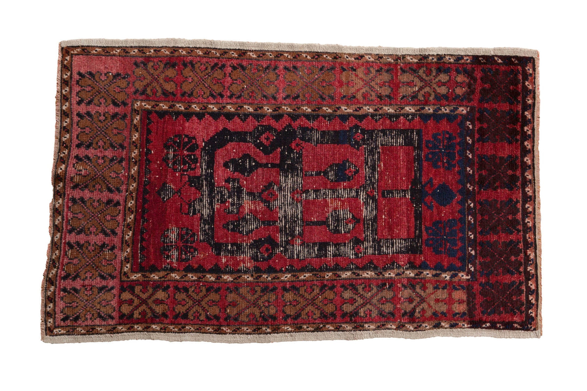2.5x4.5 Vintage Distressed Oushak Rug by Old New House® - main product image for Resin Society
