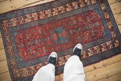 3x5 Vintage Fine Malayer Rug by Old New House® - product image 2 for Resin Society