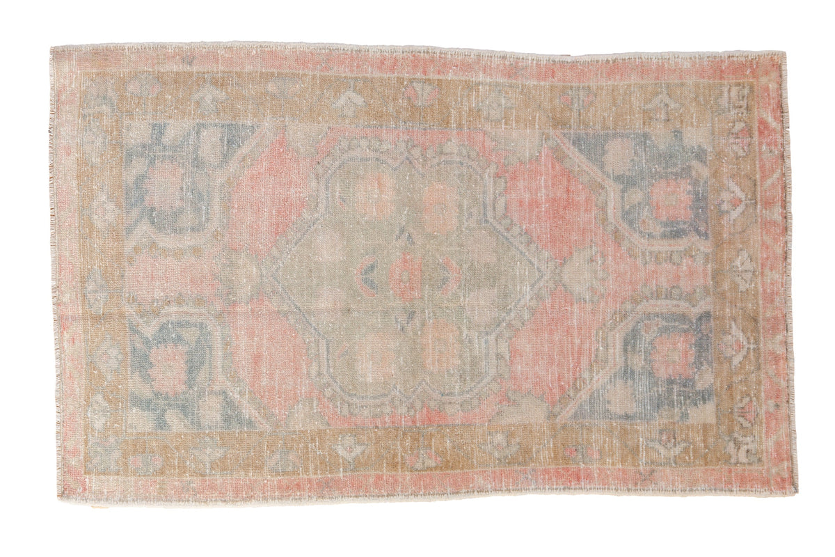 2.5x4.5 Vintage Distressed Oushak Rug by Old New House® - main product image for Resin Society