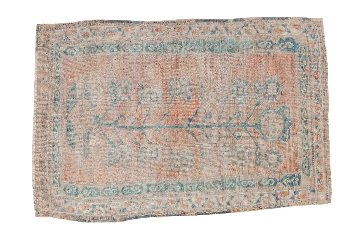 2.5x3.5 Vintage Distressed Oushak Rug by Old New House® - main product image for Resin Society