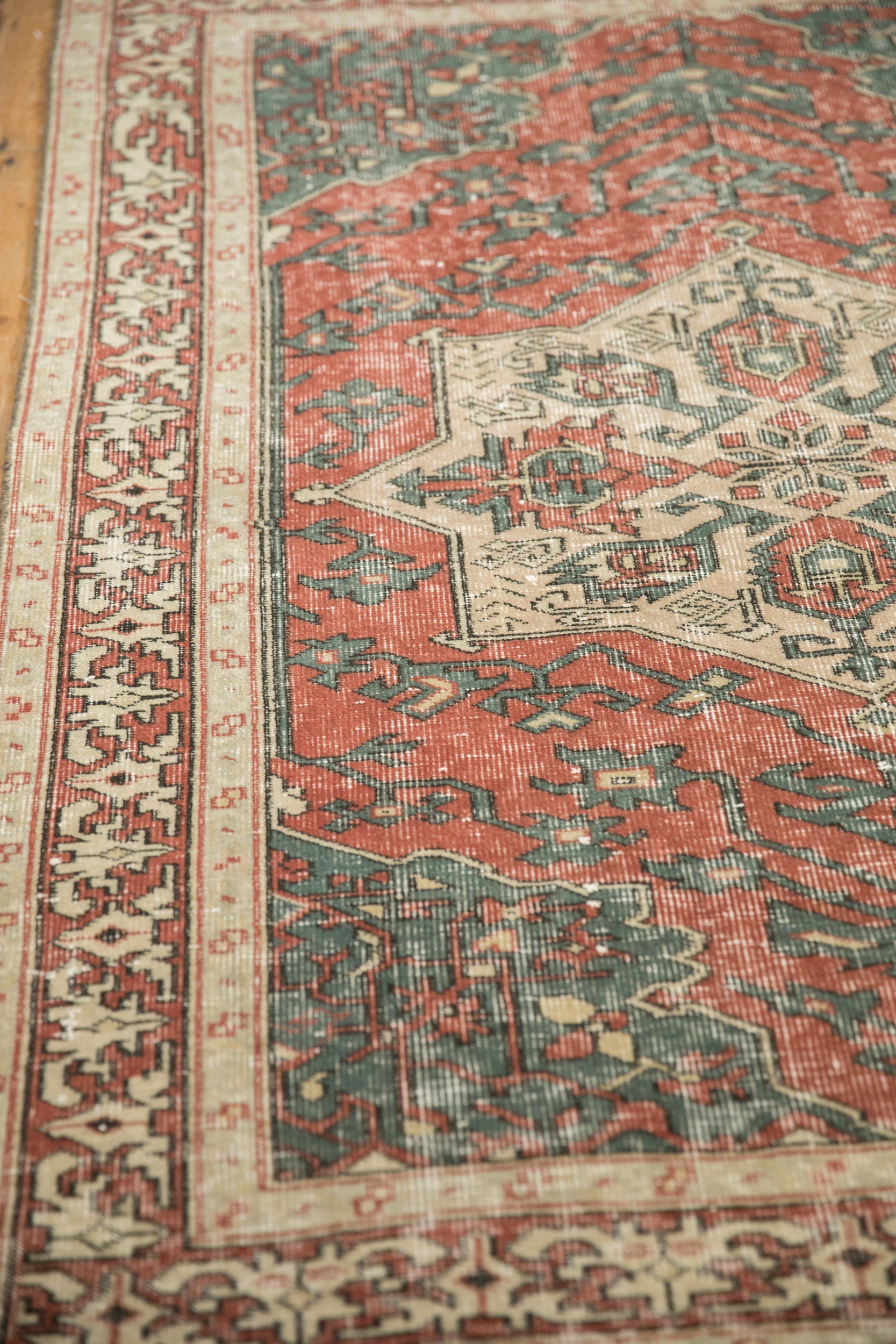 4x6 Vintage Distressed Sparta Rug by Old New House® - product image 4 for Resin Society