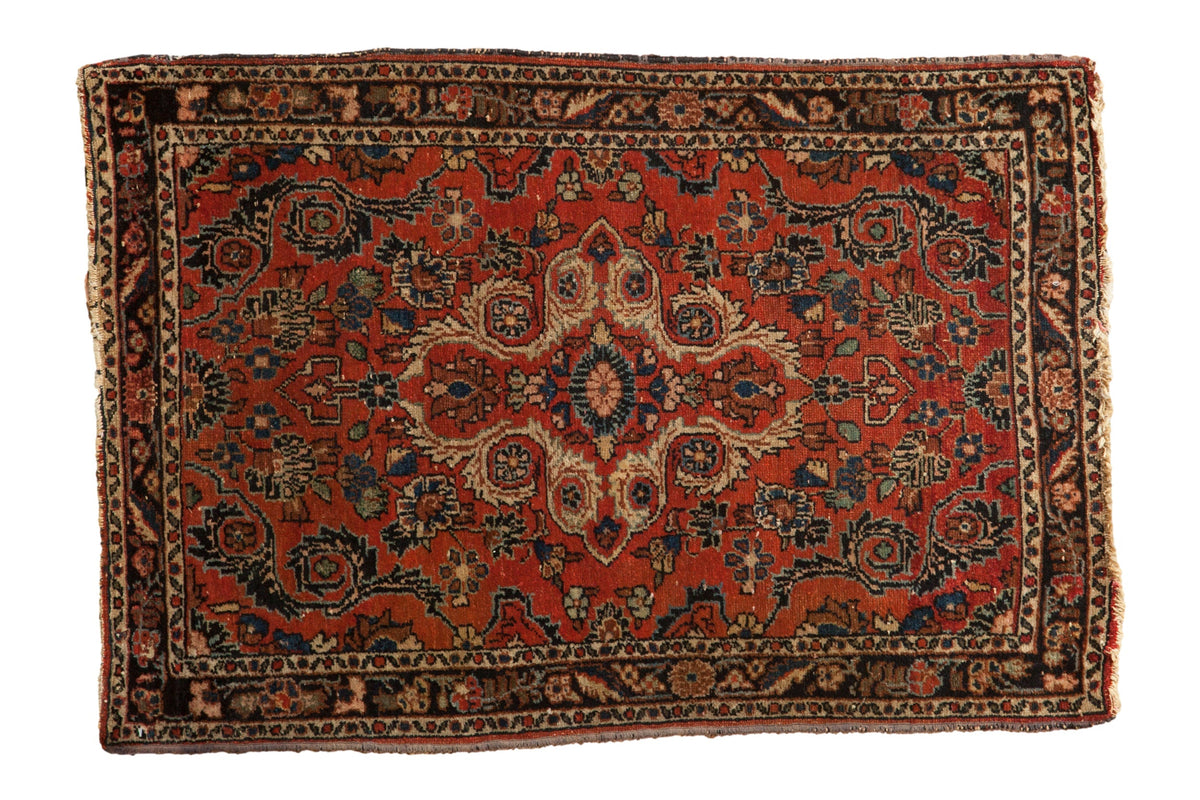2.5x4 Vintage Dargezine Rug by Old New House® - main product image for Resin Society
