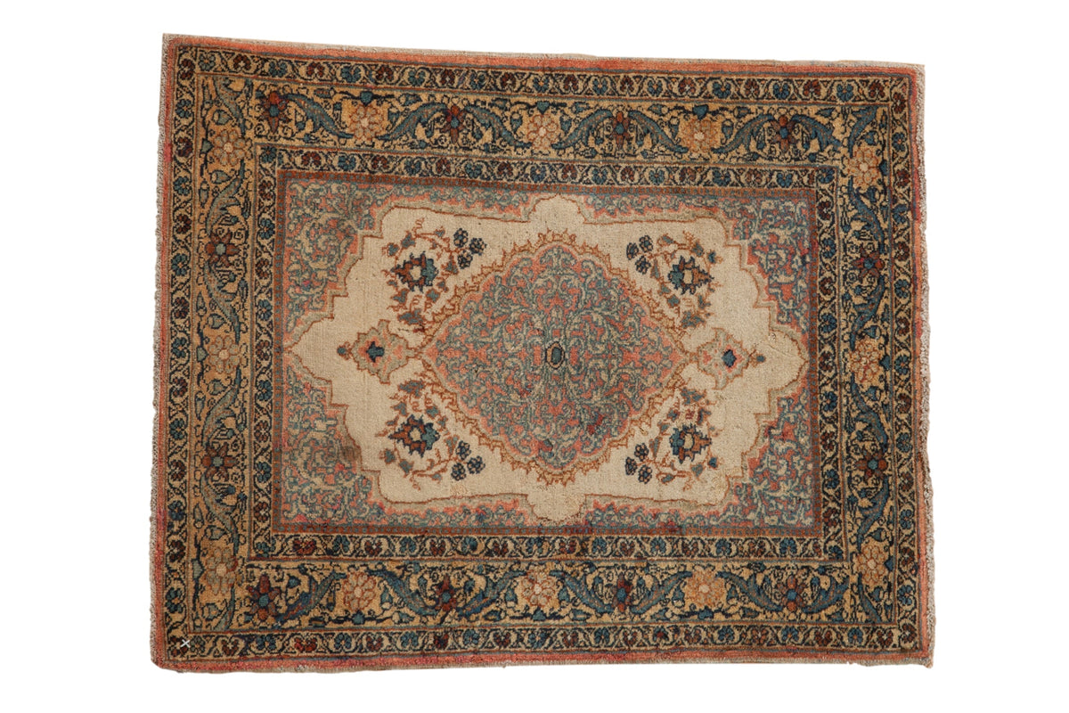 2x2.5 Vintage Tabriz Square Rug Mat by Old New House® - main product image for Resin Society