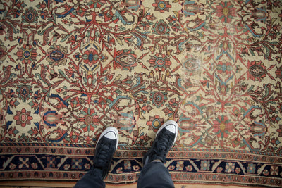 4x7 Antique Fine Malayer Rug by Old New House® - product image 2 for Resin Society