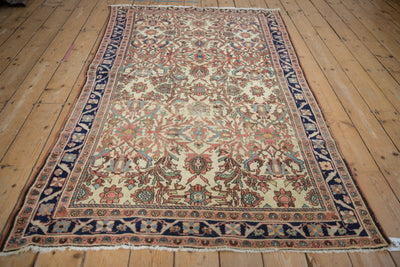 4x7 Antique Fine Malayer Rug by Old New House® - product image 3 for Resin Society