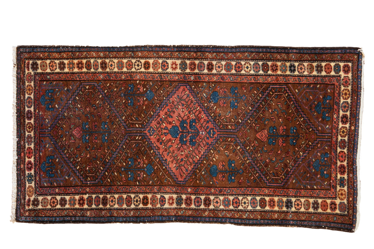 3.5x6.5 Vintage Kurdish Hamadan Rug by Old New House® - main product image for Resin Society
