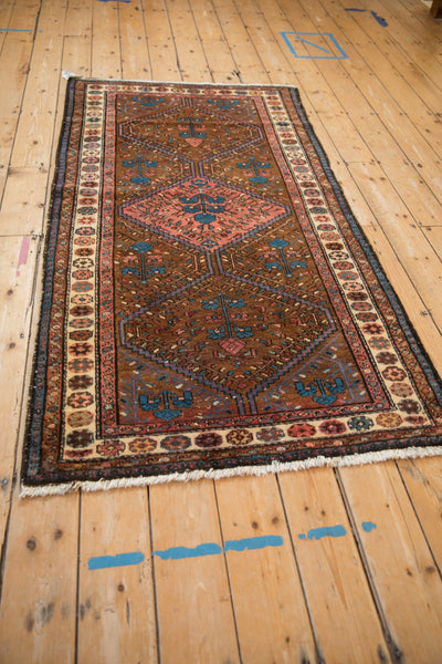 3.5x6.5 Vintage Kurdish Hamadan Rug by Old New House® - product image 7 for Resin Society