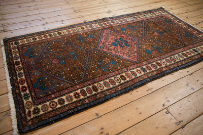 3.5x6.5 Vintage Kurdish Hamadan Rug by Old New House® - product image 11 for Resin Society