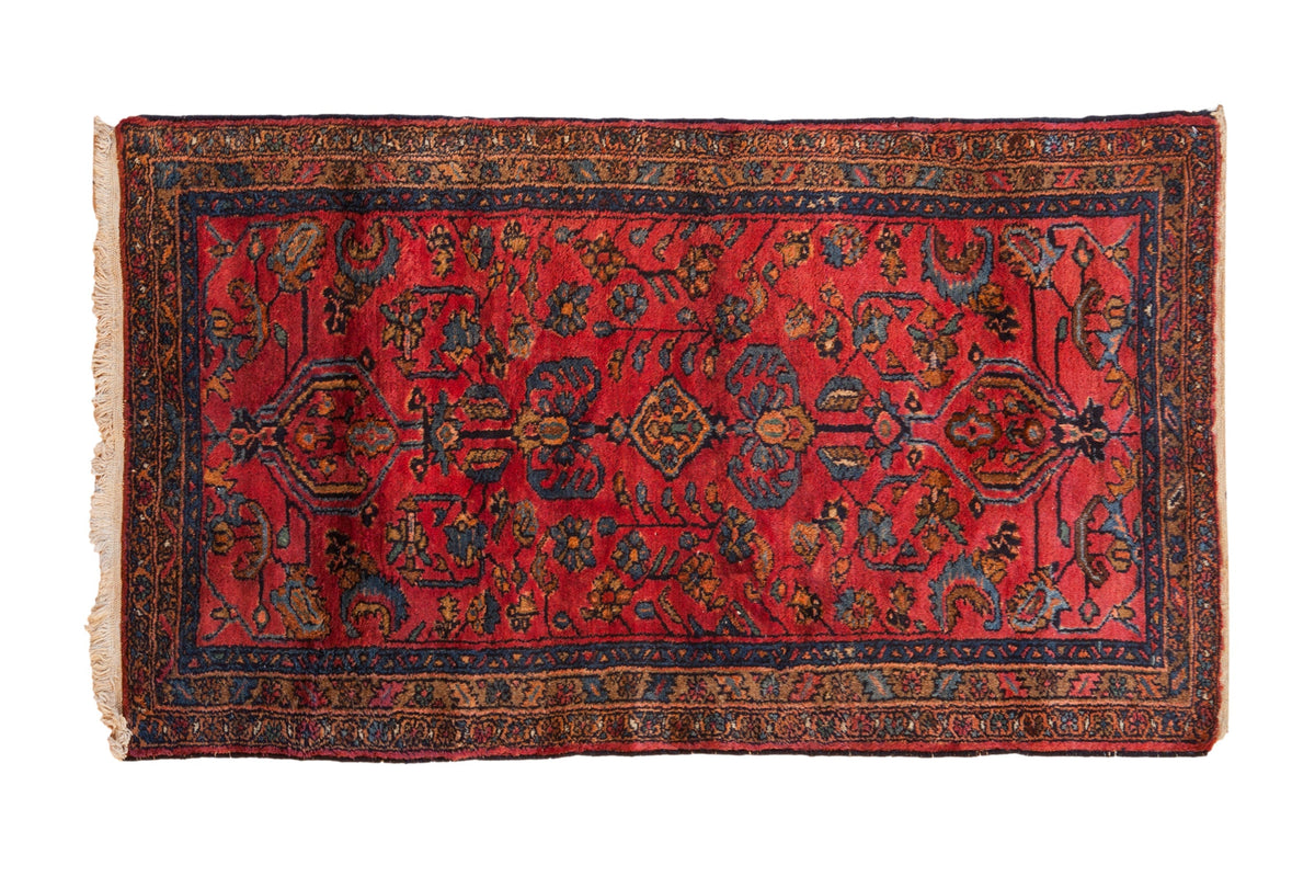 3x5 Vintage Lilihan Rug by Old New House® - main product image for Resin Society