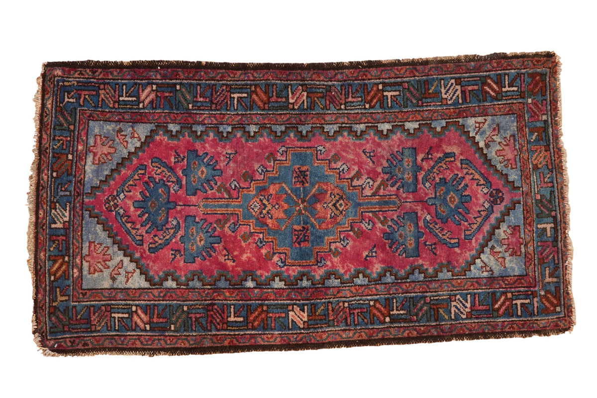 2.5x4.5 Vintage Mehriban Rug by Old New House® - main product image for Resin Society