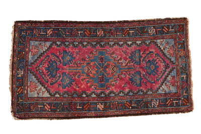 2.5x4.5 Vintage Mehriban Rug by Old New House® - main product image for Resin Society