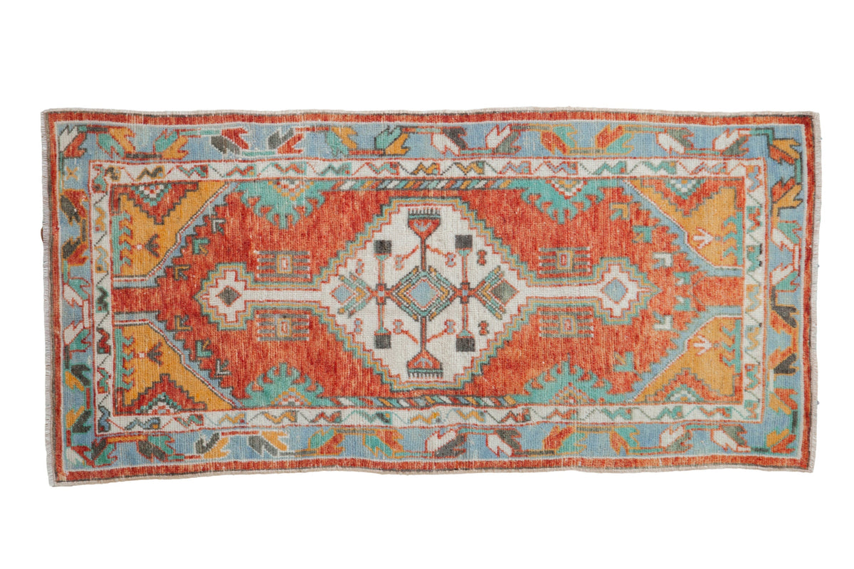 2.5x5.5 Vintage Oushak Rug Runner by Old New House® - main product image for Resin Society