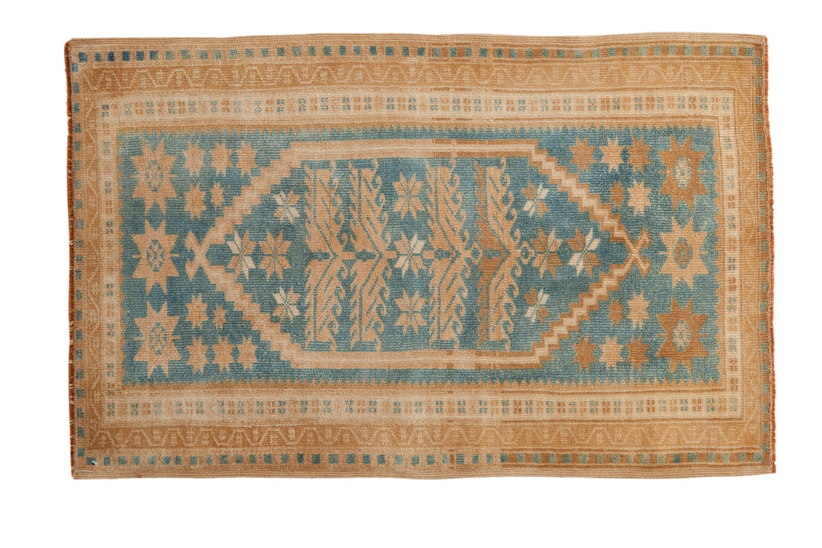 2.5x4 Vintage Distressed Oushak Rug by Old New House® - main product image for Resin Society