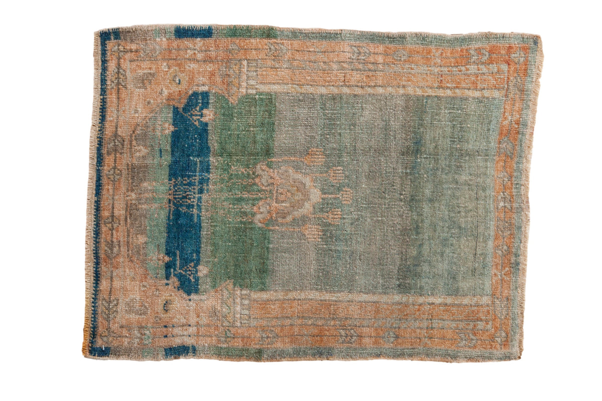 2.5x3.5 Vintage Oushak Rug by Old New House® - main product image for Resin Society