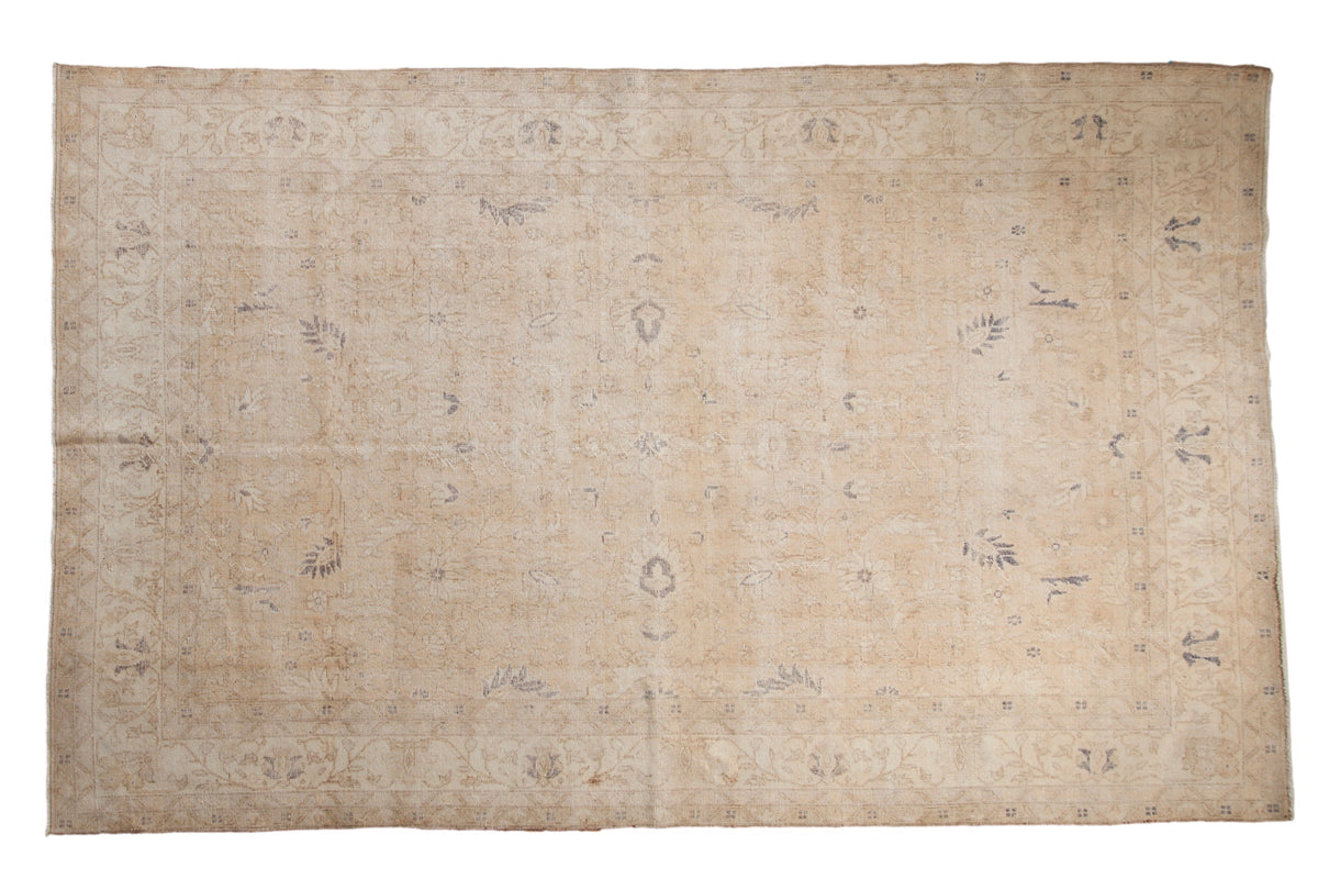 6.5x10.5 Vintage Distressed Sparta Carpet by Old New House® - main product image for Resin Society