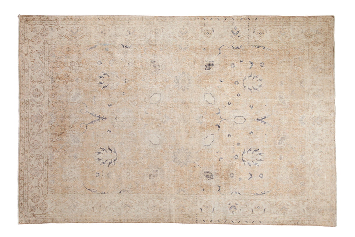 6.5x10 Vintage Distressed Sparta Carpet by Old New House® - main product image for Resin Society