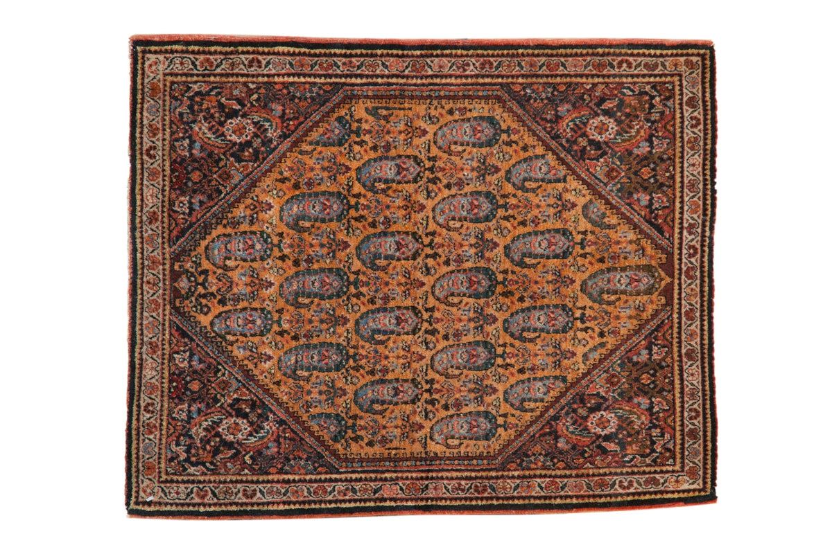 2x2.5 Vintage Fine Sarouk Square Rug Mat by Old New House® - main product image for Resin Society
