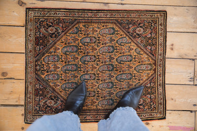 2x2.5 Vintage Fine Sarouk Square Rug Mat by Old New House® - product image 2 for Resin Society