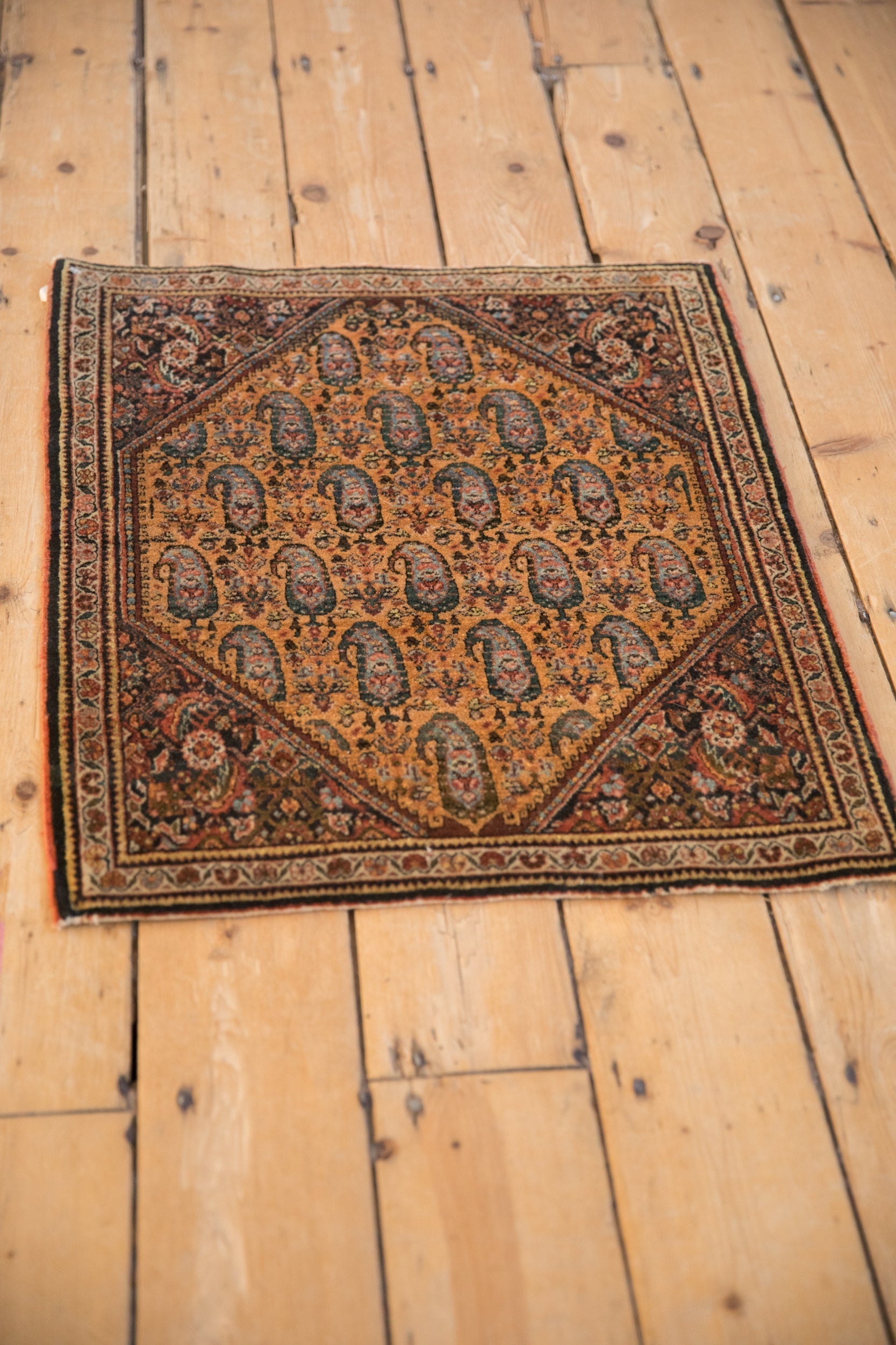 2x2.5 Vintage Fine Sarouk Square Rug Mat by Old New House® - product image 4 for Resin Society