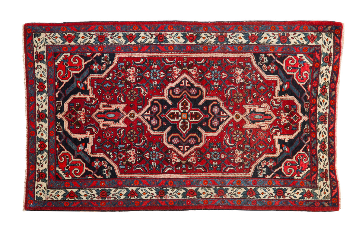 2.5x4.5 Vintage Bijar Rug by Old New House® - main product image for Resin Society