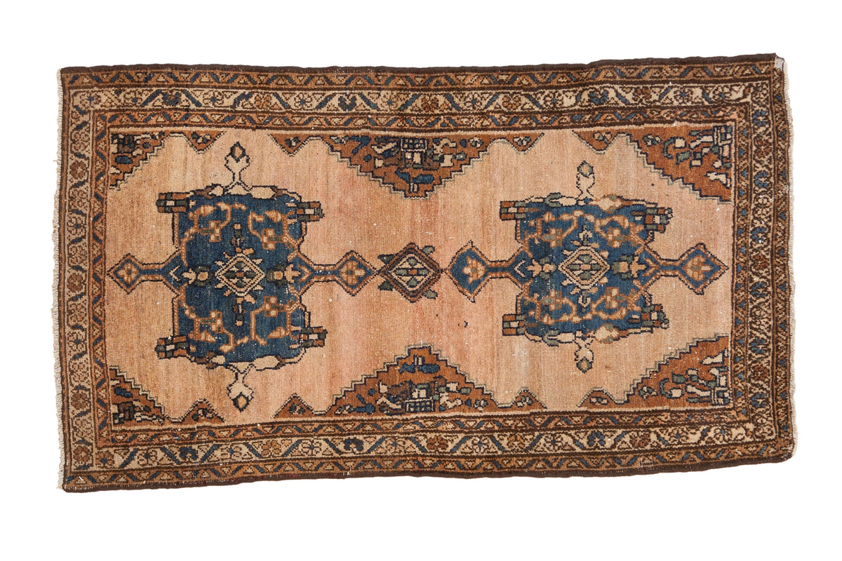3x5 Vintage Mehriban Rug by Old New House® - main product image for Resin Society