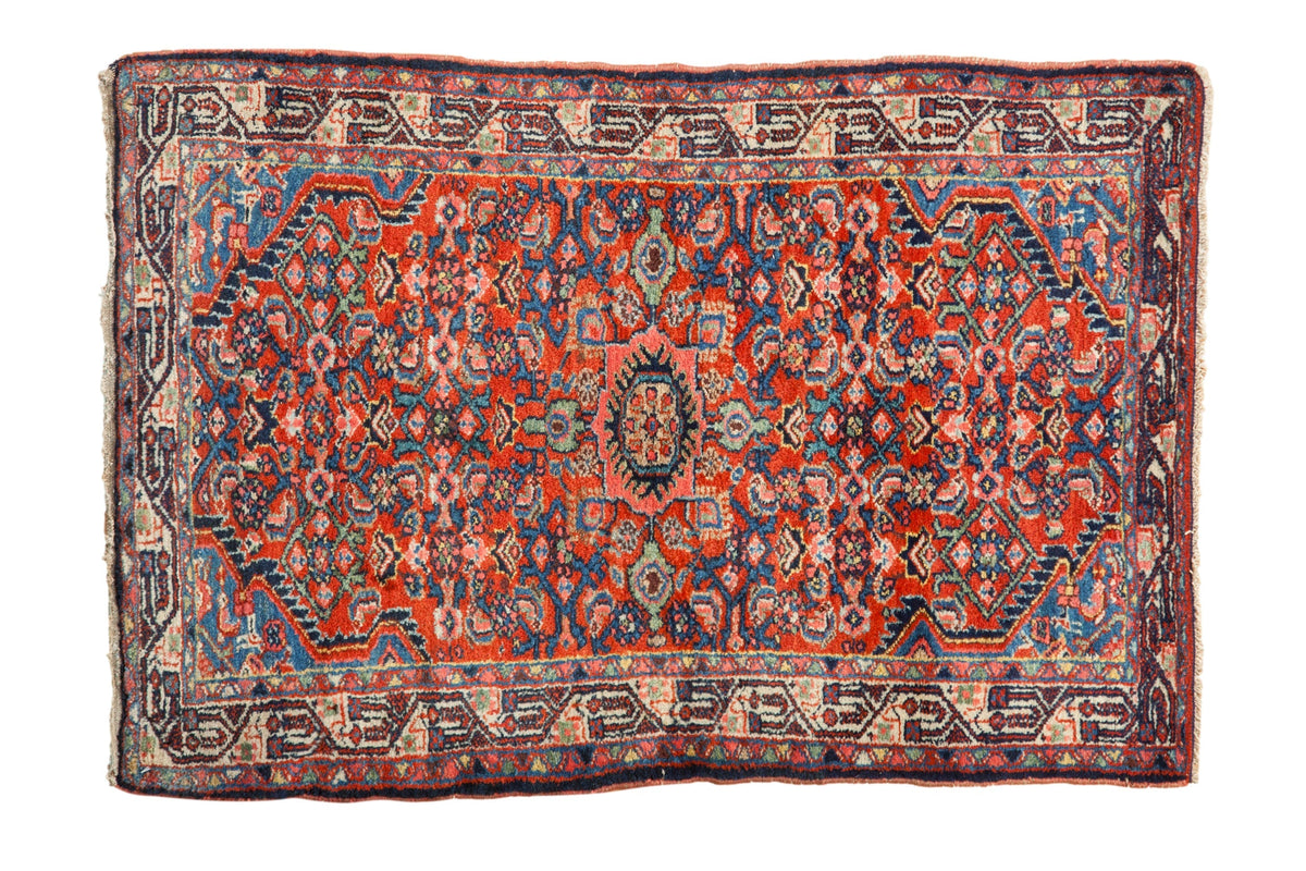 2.5x4 Vintage Tajabad Rug by Old New House® - main product image for Resin Society