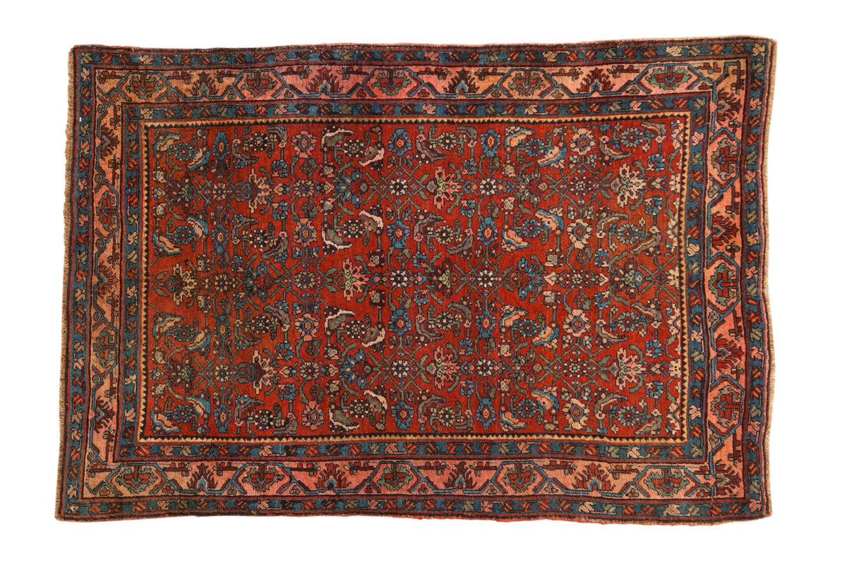 3.5x5.5 Antique Bijar Rug by Old New House® - main product image for Resin Society