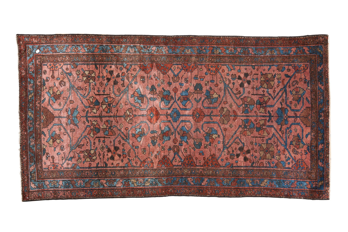 3.5x6.5 Antique Fine Lilihan Rug by Old New House® - main product image for Resin Society