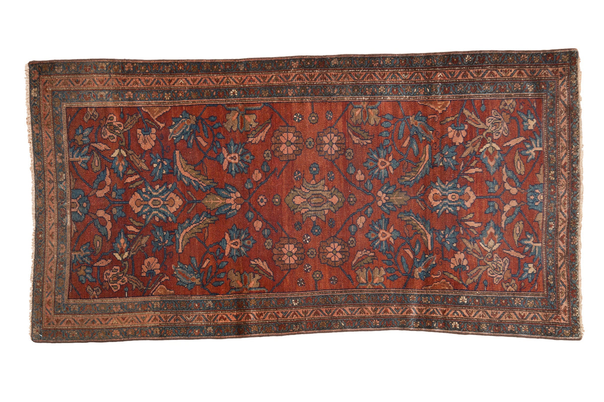 3.5x6.5 Antique Mehriban Rug by Old New House® - main product image for Resin Society