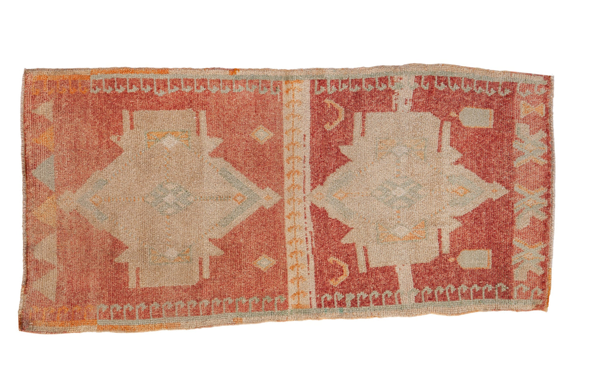 2.5x5 Vintage Distressed Kars Rug Runner by Old New House® - main product image for Resin Society