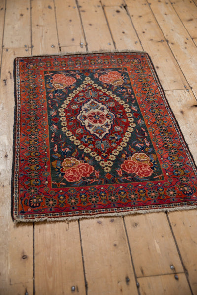 2x3 Vintage Fine Kashan Rug Mat by Old New House® - product image 5 for Resin Society