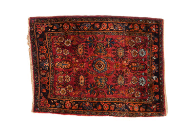 2x2.5 Vintage Fine Lilihan Square Rug Mat by Old New House® - main product image for Resin Society