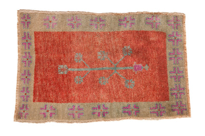 2x3.5 Vintage Distressed Oushak Rug by Old New House® - main product image for Resin Society